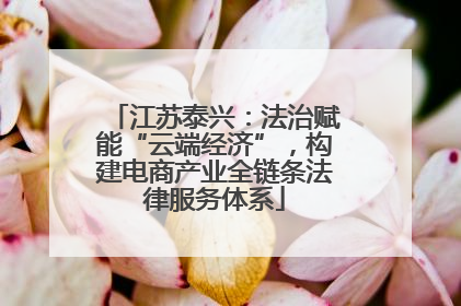 江苏泰兴：法治赋能“云端经济”，构建电商产业全链条法律服务体系