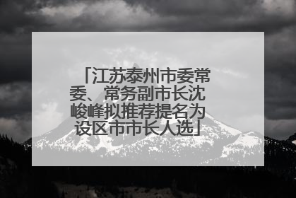 江苏泰州市委常委、常务副市长沈峻峰拟推荐提名为设区市市长人选