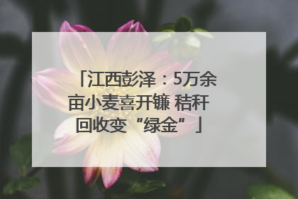 江西彭泽：5万余亩小麦喜开镰 秸秆回收变“绿金”