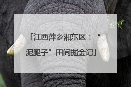 江西萍乡湘东区：“泥腿子”田间掘金记