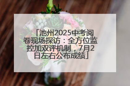 池州2025中考阅卷现场探访：全方位监控加双评机制，7月2日左右公布成绩