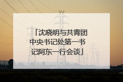 沈晓明与共青团中央书记处第一书记阿东一行会谈