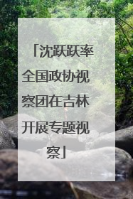 沈跃跃率全国政协视察团在吉林开展专题视察