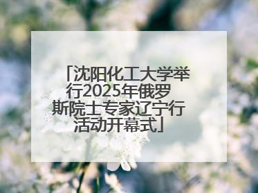 沈阳化工大学举行2025年俄罗斯院士专家辽宁行活动开幕式
