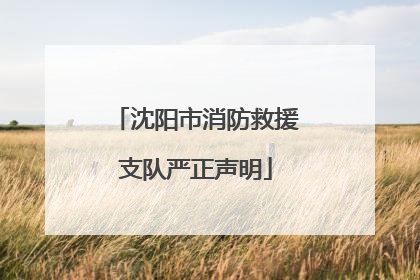 沈阳市消防救援支队严正声明