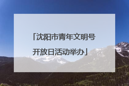 沈阳市青年文明号开放日活动举办