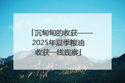 沉甸甸的收获——2025年夏季粮油收获一线观察