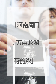 河南周口：万亩龙湖荷韵浓