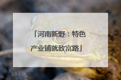 河南新野：特色产业铺就致富路