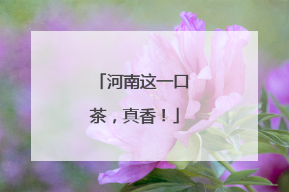 河南这一口茶，真香！
