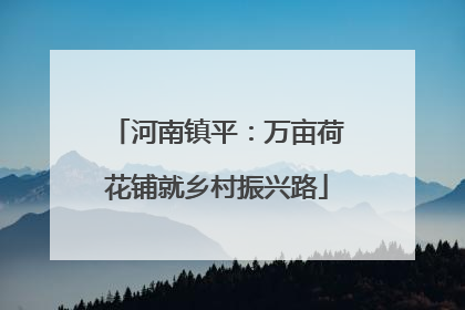 河南镇平：万亩荷花铺就乡村振兴路