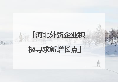 河北外贸企业积极寻求新增长点