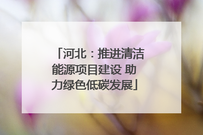河北：推进清洁能源项目建设 助力绿色低碳发展