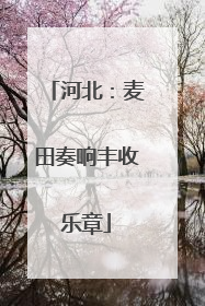 河北：麦田奏响丰收乐章