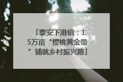 泰安下港镇：1.5万亩“樱桃黄金带”铺就乡村振兴路