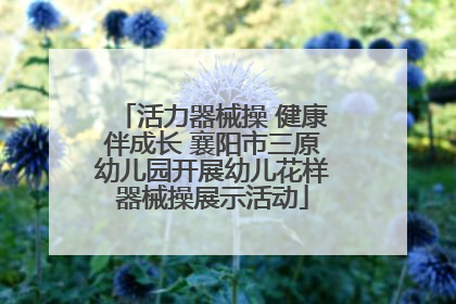活力器械操 健康伴成长 襄阳市三原幼儿园开展幼儿花样器械操展示活动