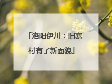 洛阳伊川：旧寨村有了新面貌