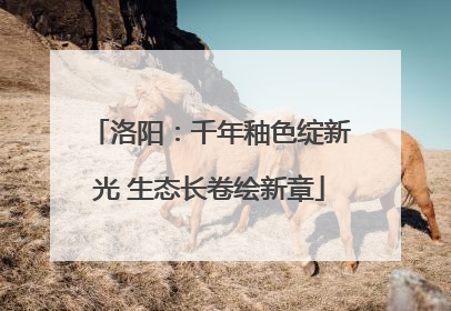 洛阳：千年釉色绽新光 生态长卷绘新章