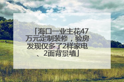 海口一业主花47万元定制装修，验房发现仅多了2样家电、2面背景墙