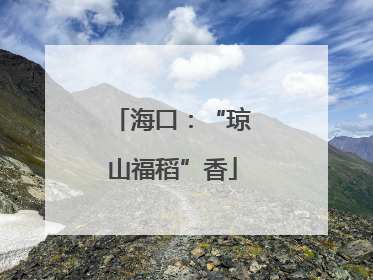 海口：“琼山福稻”香
