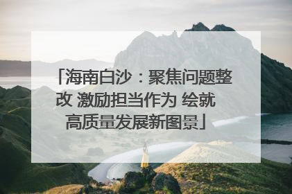 海南白沙：聚焦问题整改 激励担当作为 绘就高质量发展新图景