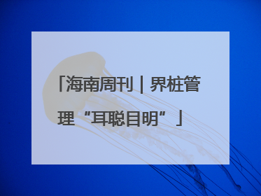 海南周刊｜界桩管理“耳聪目明”