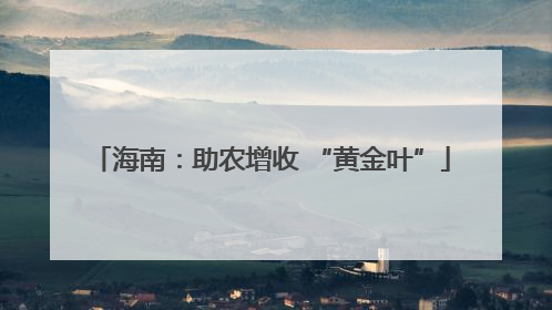 海南：助农增收 “黄金叶”