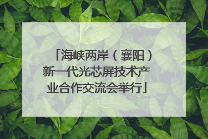 海峡两岸（襄阳）新一代光芯屏技术产业合作交流会举行