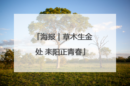 海报｜草木生金处 耒阳正青春