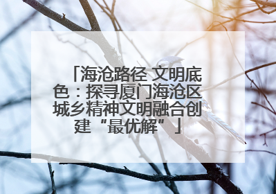 海沧路径 文明底色：探寻厦门海沧区城乡精神文明融合创建“最优解”