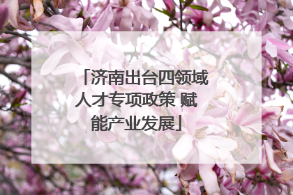 济南出台四领域人才专项政策 赋能产业发展