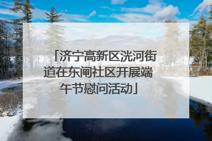 济宁高新区洸河街道在东闸社区开展端午节慰问活动