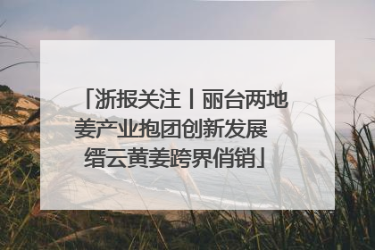 浙报关注丨丽台两地姜产业抱团创新发展 缙云黄姜跨界俏销