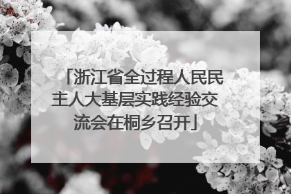 浙江省全过程人民民主人大基层实践经验交流会在桐乡召开