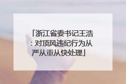 浙江省委书记王浩：对顶风违纪行为从严从重从快处理