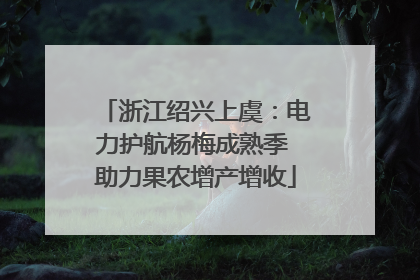 浙江绍兴上虞：电力护航杨梅成熟季 助力果农增产增收