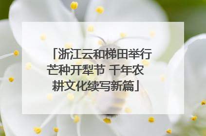 浙江云和梯田举行芒种开犁节 千年农耕文化续写新篇
