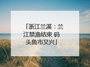 浙江兰溪：兰江禁渔结束 码头鱼市又兴