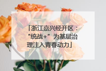 浙江嘉兴经开区：“统战+”为基层治理注入青春动力