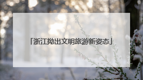 浙江拗出文明旅游新姿态