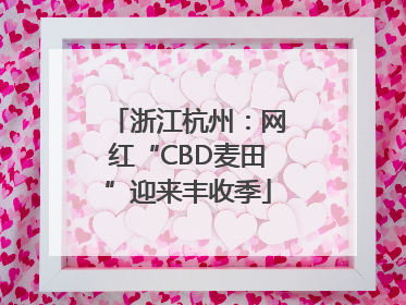 浙江杭州：网红“CBD麦田”迎来丰收季
