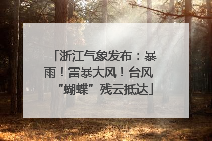 浙江气象发布：暴雨！雷暴大风！台风“蝴蝶”残云抵达