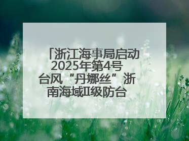 浙江海事局启动2025年第4号台风“丹娜丝”浙南海域II级防台应急响应