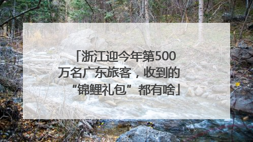 浙江迎今年第500万名广东旅客，收到的“锦鲤礼包”都有啥