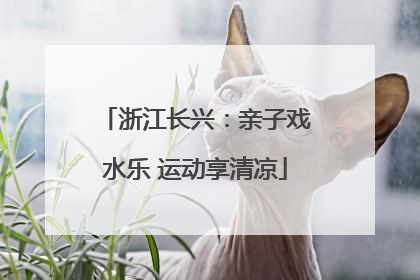 浙江长兴：亲子戏水乐 运动享清凉