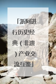 浙阿进行历史经典（非遗）产业交流互鉴