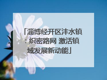 淄博经开区沣水镇：织密路网 激活镇域发展新动能