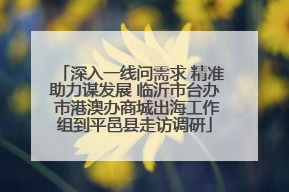 深入一线问需求 精准助力谋发展 临沂市台办 市港澳办商城出海工作组到平邑县走访调研