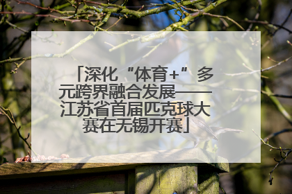 深化“体育+”多元跨界融合发展——江苏省首届匹克球大赛在无锡开赛