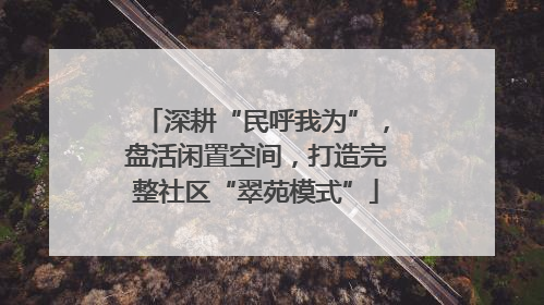 深耕“民呼我为”，盘活闲置空间，打造完整社区“翠苑模式”